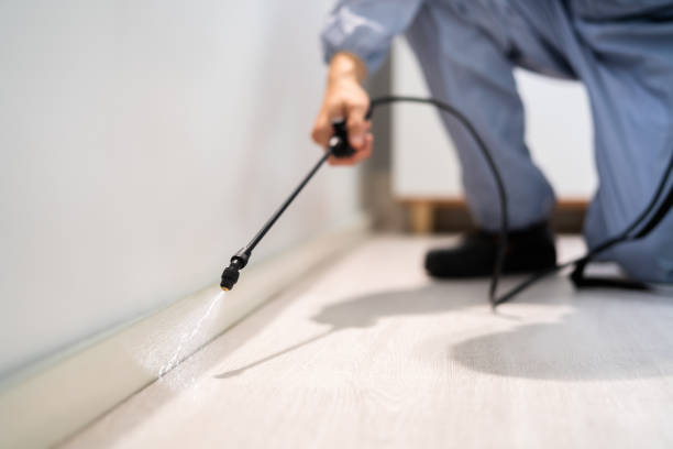 Licensed Pest Control service in Hydesville, CA - Show Me Pest Control