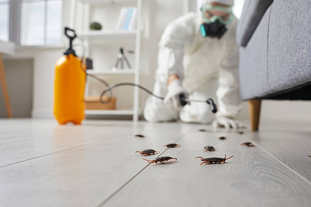 Commercial Kitchen Cockroach Control in Hydesville